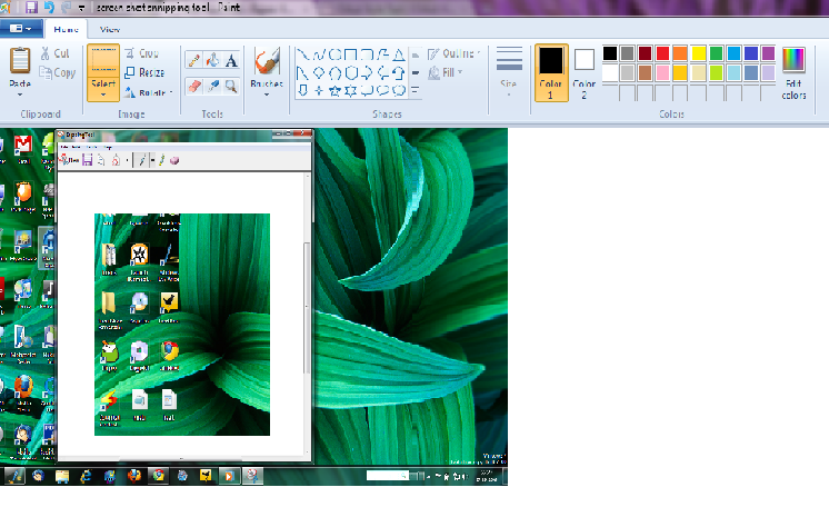 paint screen shot